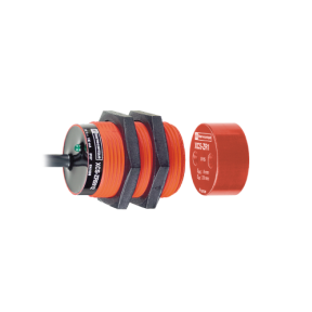 TES Electric SAFETY INTERLOCK 24VDC 100 MA T